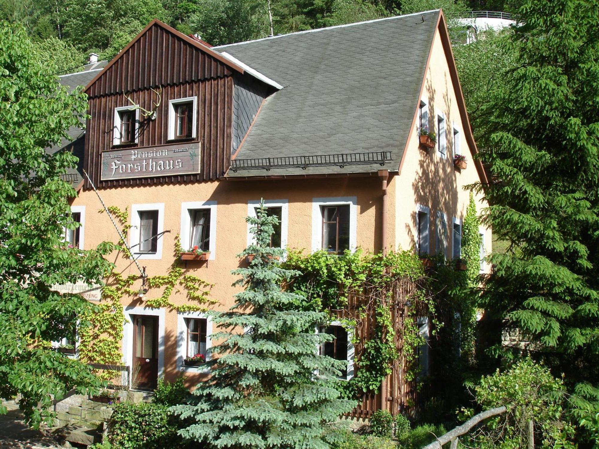 Das Forsthaus Hotelapartments Bad Schandau Exteriör bild